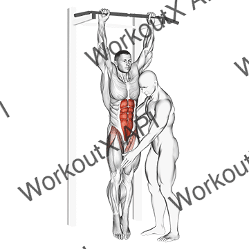 Assisted Hanging Knee Raise animated GIF