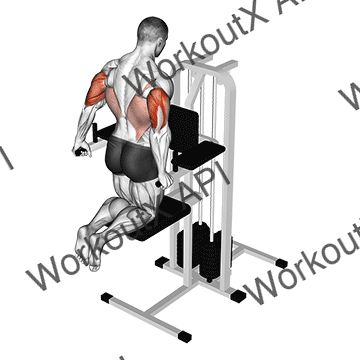 Assisted Triceps Dip (kneeling) animated GIF