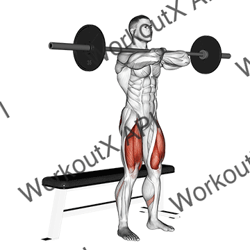 Barbell Bench Front Squat animated GIF