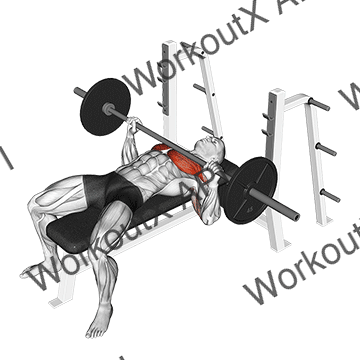 Barbell Bench Press animated GIF