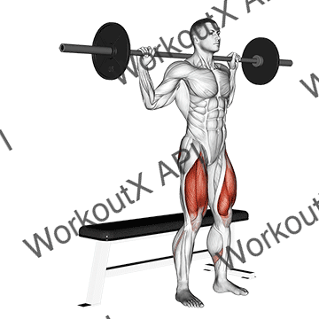 Barbell Bench Squat animated GIF