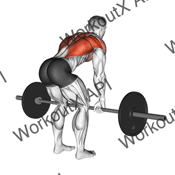 Barbell Bent Over Row animated GIF