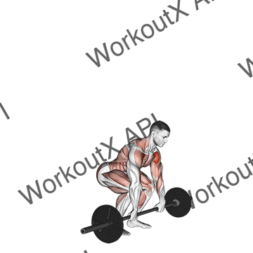 Barbell Clean And Press animated GIF