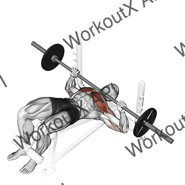 Barbell Decline Bench Press animated GIF