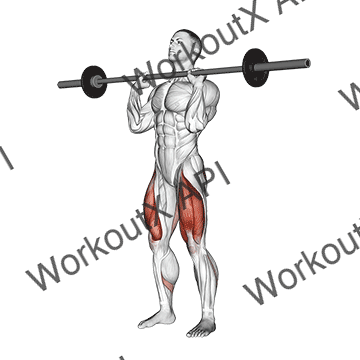 Barbell Front Chest Squat animated GIF