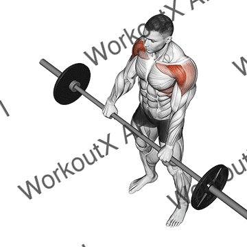 Barbell Front Raise animated GIF