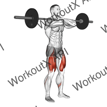 Barbell Front Squat animated GIF