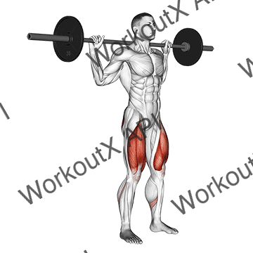 Barbell Narrow Stance Squat animated GIF