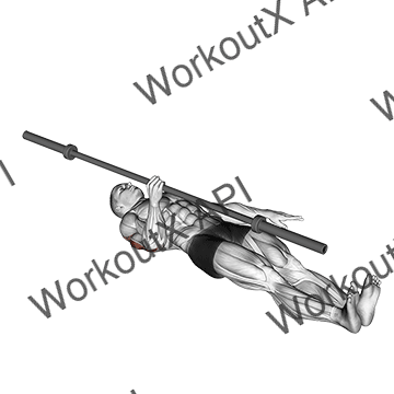 Barbell One Arm Floor Press animated GIF