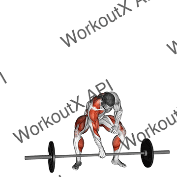 Barbell One Arm Snatch animated GIF