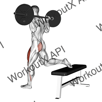 Barbell One Leg Squat animated GIF