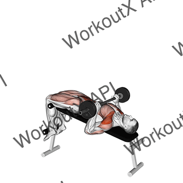 Barbell Press Sit-up animated GIF