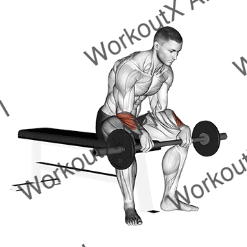 Barbell Reverse Wrist Curl V. 2 animated GIF