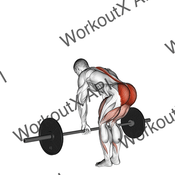 Barbell Romanian Deadlift animated GIF