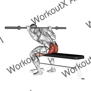 Barbell Seated Good Morning animated GIF