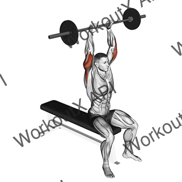 Barbell Seated Overhead Triceps Extension animated GIF