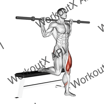 Barbell Single Leg Split Squat animated GIF