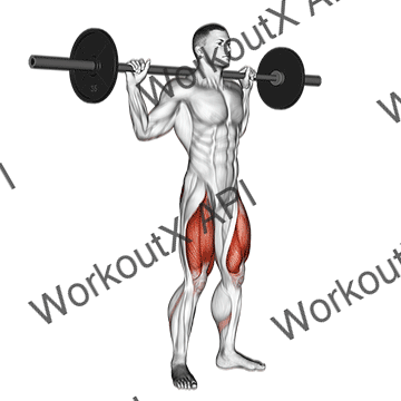 Barbell Speed Squat animated GIF