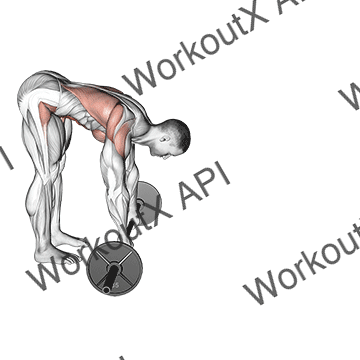 Barbell Standing Ab Rollerout animated GIF