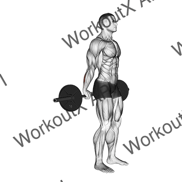 Barbell Standing Back Wrist Curl animated GIF