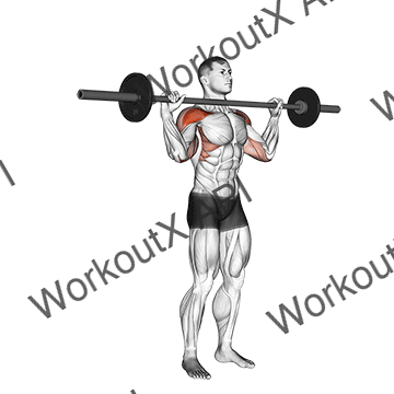 Barbell Standing Bradford Press animated GIF