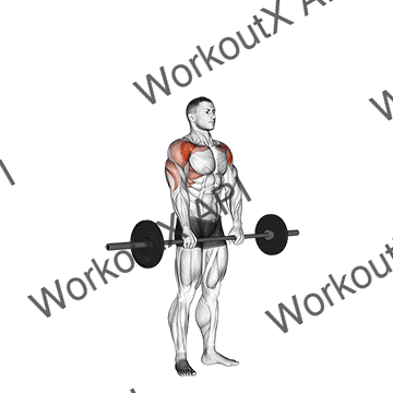 Barbell Standing Front Raise Over Head animated GIF