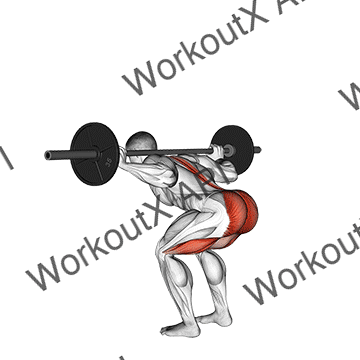 Barbell Stiff Leg Good Morning animated GIF