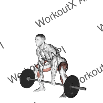 Barbell Sumo Deadlift animated GIF