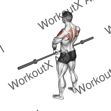 Barbell Upright Row V. 3 animated GIF