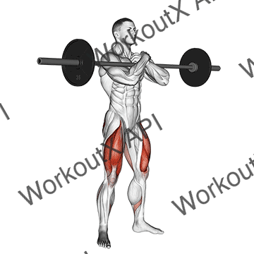 Barbell Zercher Squat animated GIF