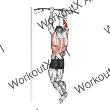 Biceps Pull-up animated GIF