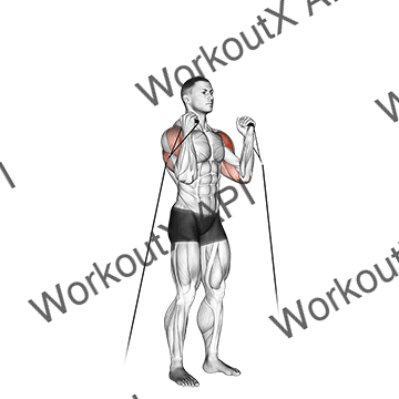 Cable Alternate Shoulder Press animated GIF