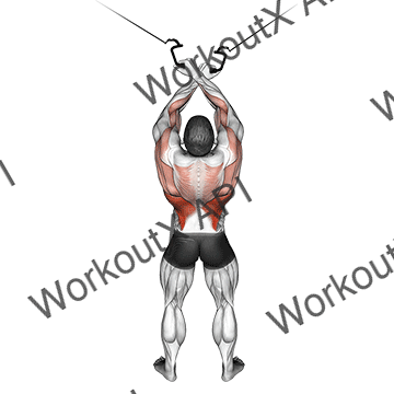 Cable Cross-over Lateral Pulldown animated GIF