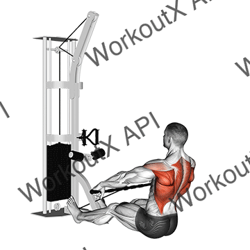 Cable Floor Seated Wide-grip Row animated GIF
