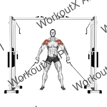 Cable Front Shoulder Raise animated GIF