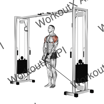 Cable Lateral Raise animated GIF