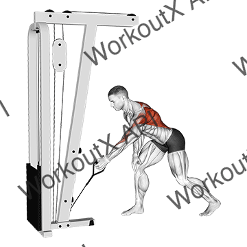 Cable One Arm Bent Over Row animated GIF