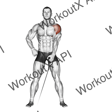 Cable One Arm Lateral Raise animated GIF