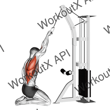 Cable One Arm Straight Back High Row (kneeling) animated GIF