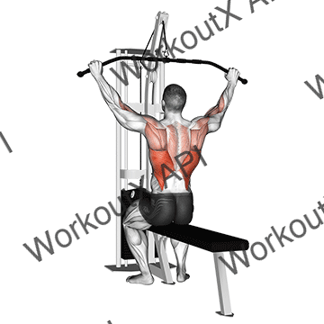 Cable Pulldown (pro Lat Bar) animated GIF