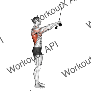 Cable Pushdown (straight Arm) V. 2 animated GIF
