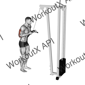 Cable Pushdown animated GIF