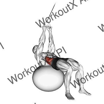Cable Russian Twists (on Stability Ball) animated GIF