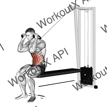 Cable Seated Crunch animated GIF