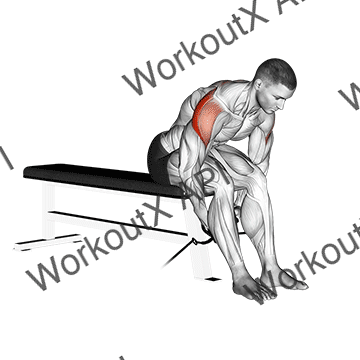 Cable Seated Rear Lateral Raise animated GIF