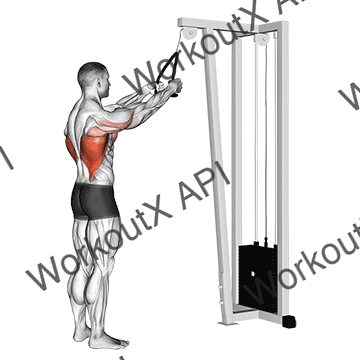 Cable Straight Arm Pulldown (with Rope) animated GIF