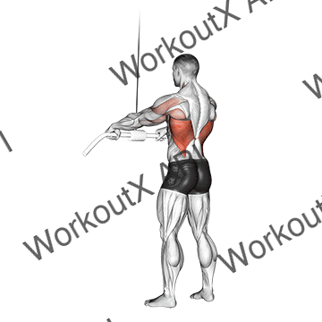 Cable Straight Arm Pulldown animated GIF