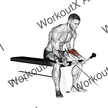 Cable Wrist Curl animated GIF