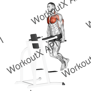 Chest Dip animated GIF
