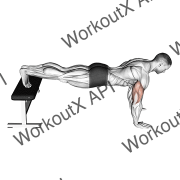 Decline Push-up animated GIF